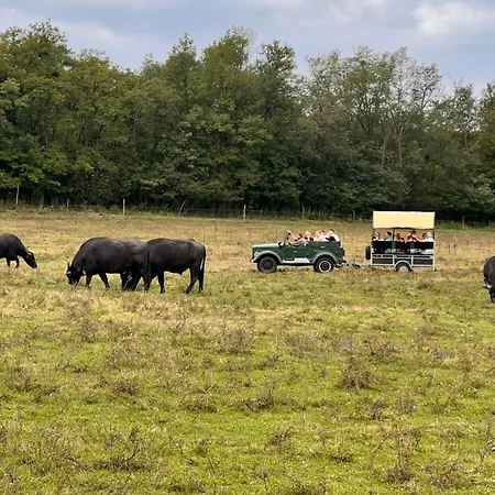 Aracsa Farm Es Vendeghaz Kis Balaton Es Termal Fuerdok *