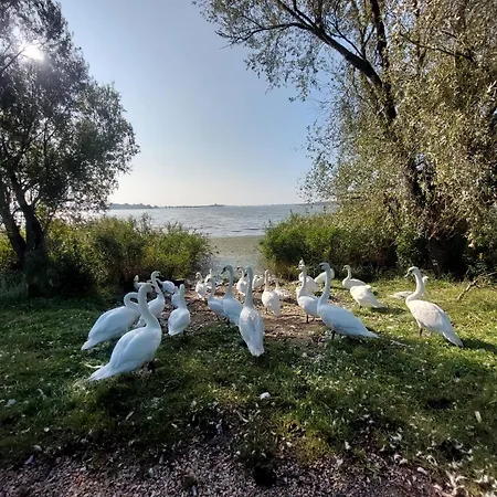 Aracsa Farm Es Vendeghaz Kis Balaton Es Termal Fuerdok Apartment *