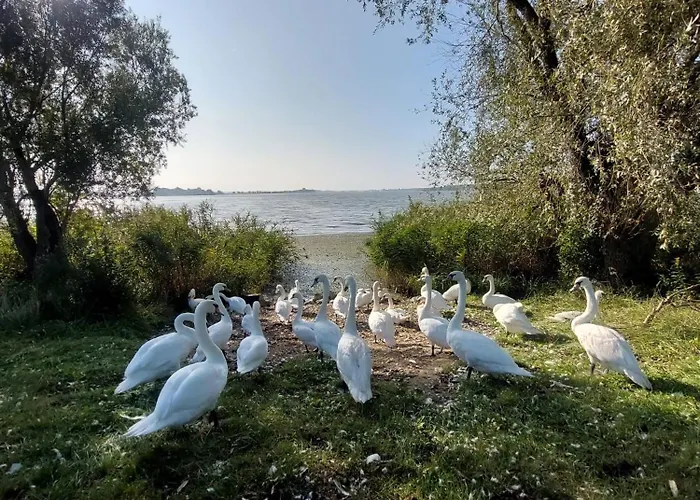 Aracsa Farm Es Vendeghaz Kis Balaton Es Termal Fuerdok Διαμέρισμα *